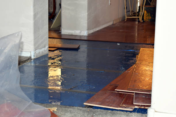 Professional Burst Pipe Cleanup technician working in Charlotte, MI