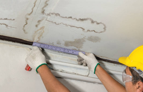 Reliable Burst Pipe Cleanup contractor in Charlotte, MI by Local Water Damage Repair